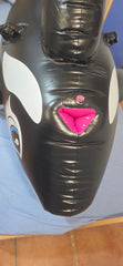 PREORDER Inflatable Intex Orca Whale with 4 SPH